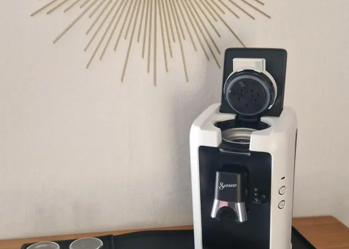 公寓 Auszeit-wiesenblick 布劳恩拉格